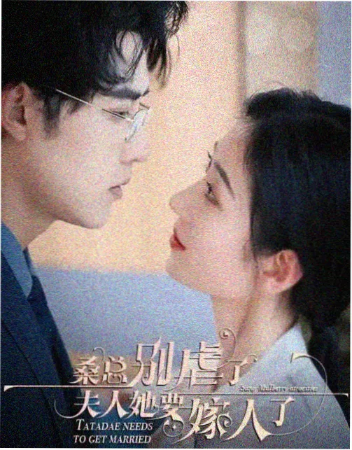 雾港迷局 犯罪悬疑剧封面